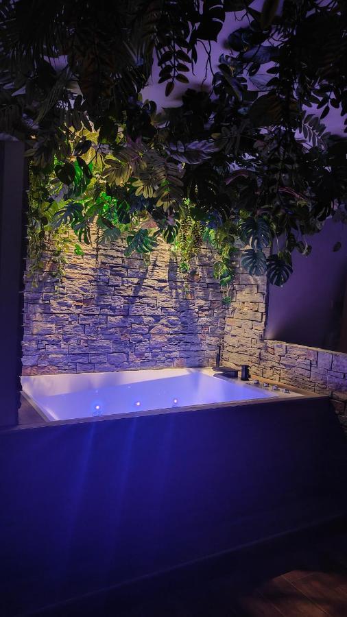 Apartamento Jungle Cannes