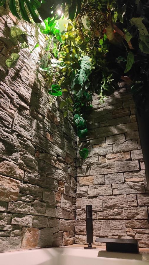 Apartamento Jungle *