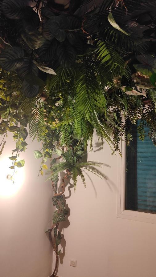 Jungle Apartamento Cannes