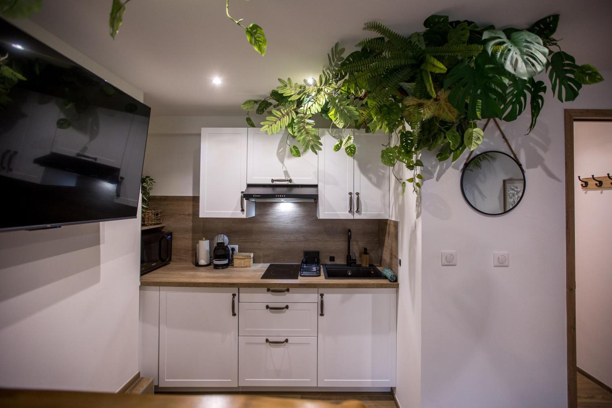 Apartamento Jungle